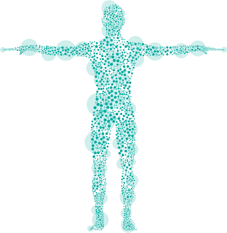 Ilustração do corpo humano